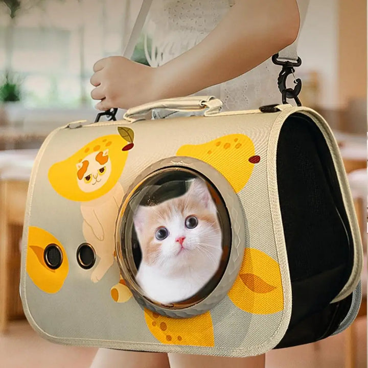 Cat Transport Bag – Transparent Bubble Backpack 🎒