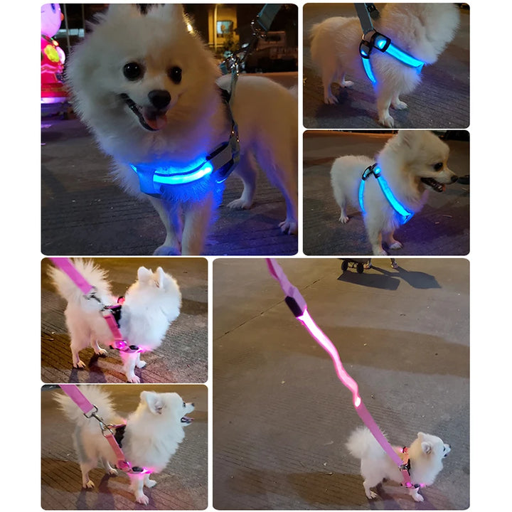 Adjustable LED Dog Harness No Pull Small Medium Glowing Nylon Breast-Band Night Safety Arnes Perro Dropship Pets Dog Accessories