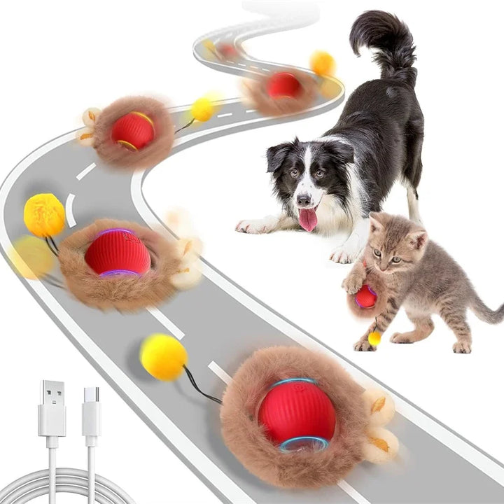 Interactive Cat Toy, Automatic Rolling Ball Cat USB Rechargeable, Antistress Indoor Toys for Cats, Electric Cat Ball Toy