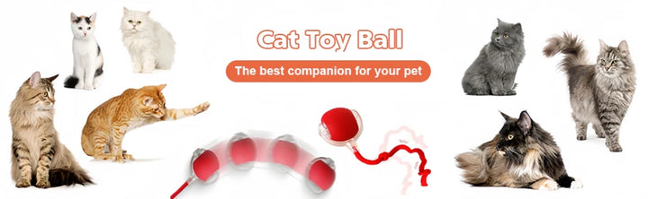 Interactive Cat Toy Ball – Automatic Rolling Magic Ball