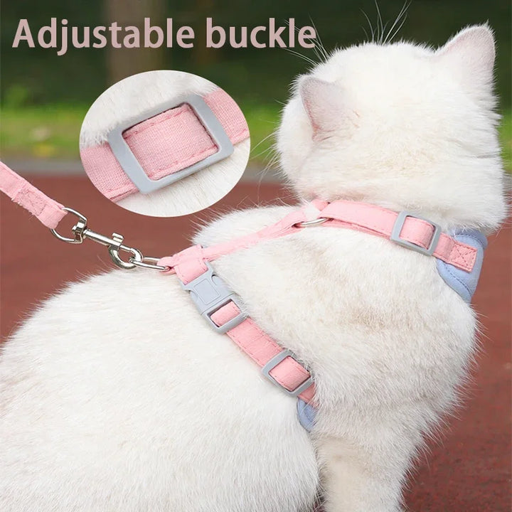 Collar and harness set for small and medium dogs