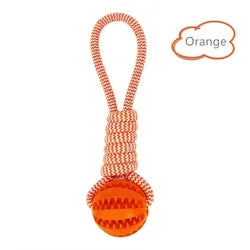 Pet Tooth Cleaning Chewing IQ Treat Ball – Dispenser