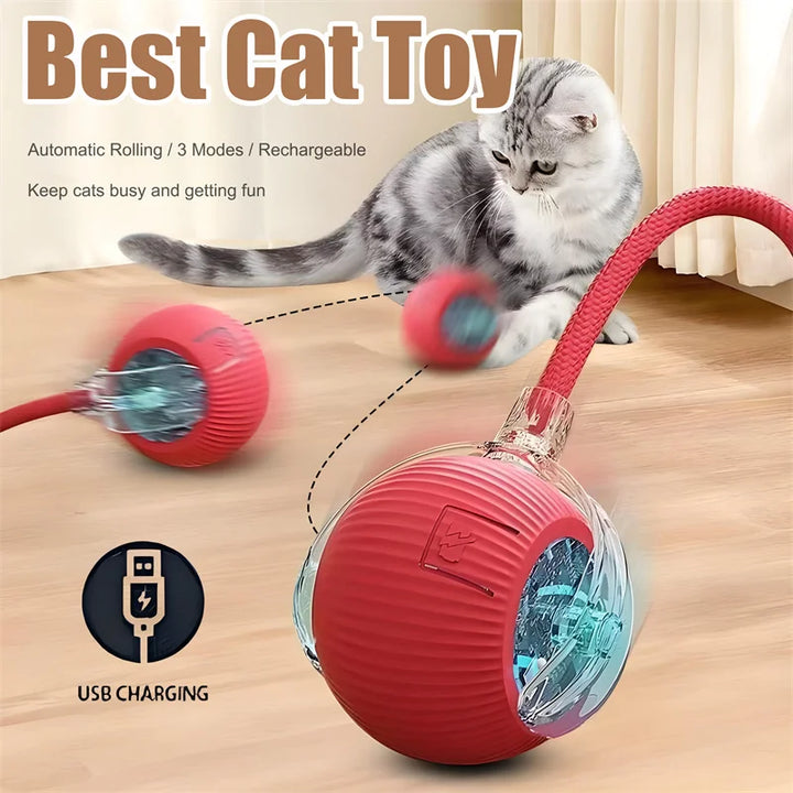 Interactive Cat Toy, Automatic Rolling Ball Cat USB Rechargeable, Antistress Indoor Toys for Cats, Electric Cat Ball Toy