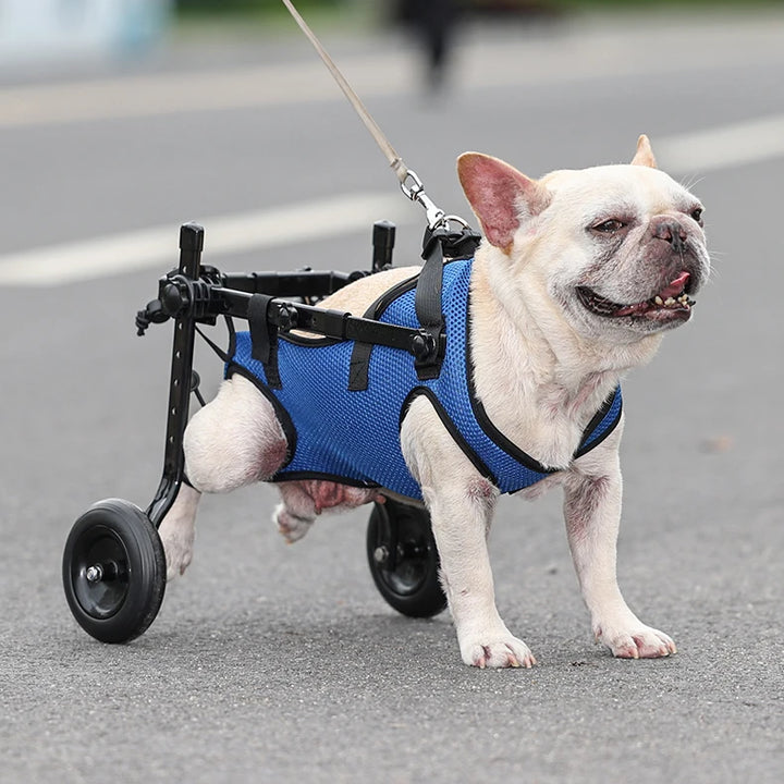 Pet Wheelchair Stroller Pet Mobility Aids