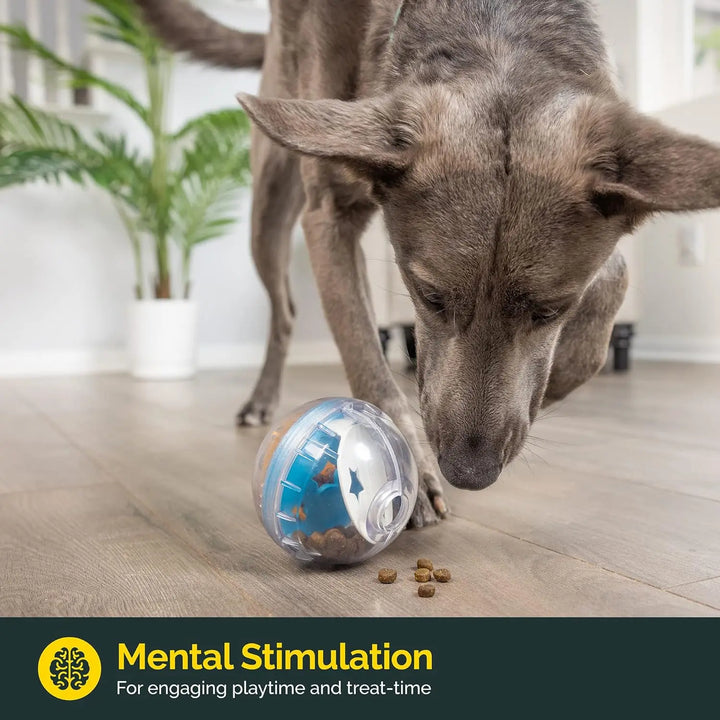 Interactive Dog Toy and Slow Feeder for Mental Stimulation!