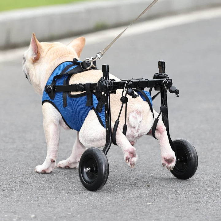 Pet Wheelchair Stroller Pet Mobility Aids