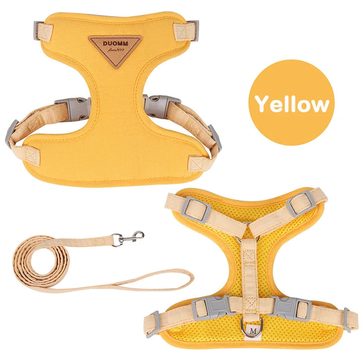 Collar and harness set for small and medium dogs