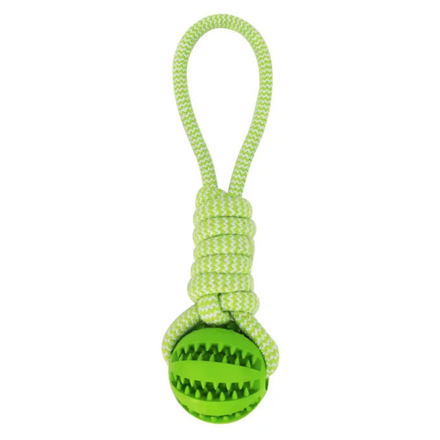 Pet Tooth Cleaning Chewing IQ Treat Ball – Dispenser