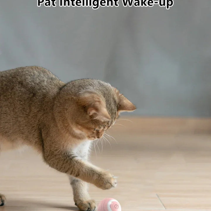 Smart Interactive Cat Ball - Electronic Rolling Toy