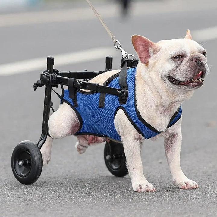 Wheelchair for small dogs Adjustable dog wheelchairs