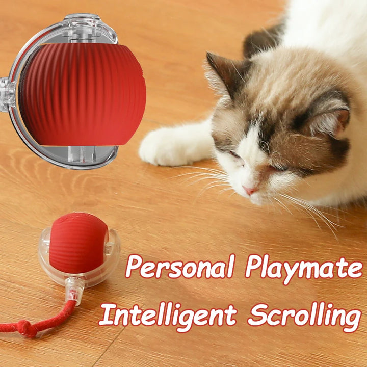 Interactive Cat Toy Ball with Fake Tail - Electric Toy