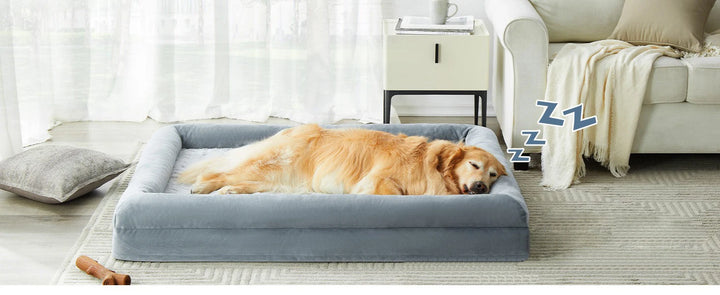 🛋️ Large Dog Bed – Cozy Sofa Cushion for Big Dogs & Cats! 🐾