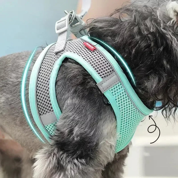 Stylish adjustable harness kit for small dogs