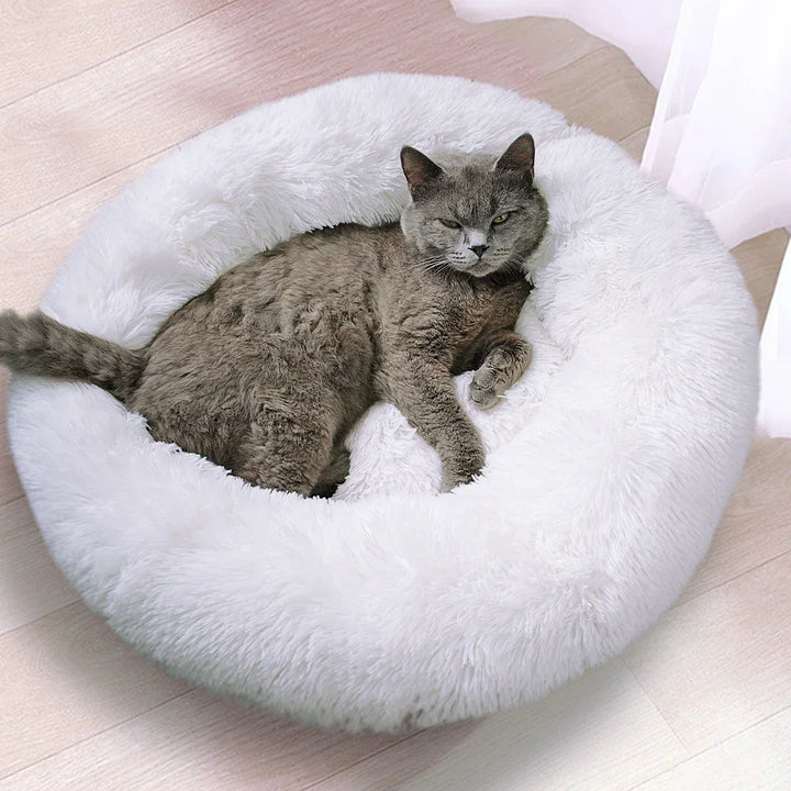 🐾 Round Plush Dog and Cat Bed – Donut Mat