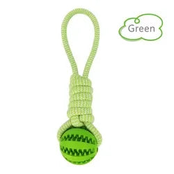 Pet Tooth Cleaning Chewing IQ Treat Ball – Dispenser