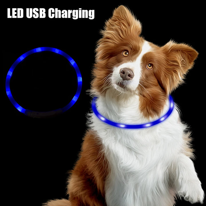 Night Luminous LED USB Charging Collar Dog Collar