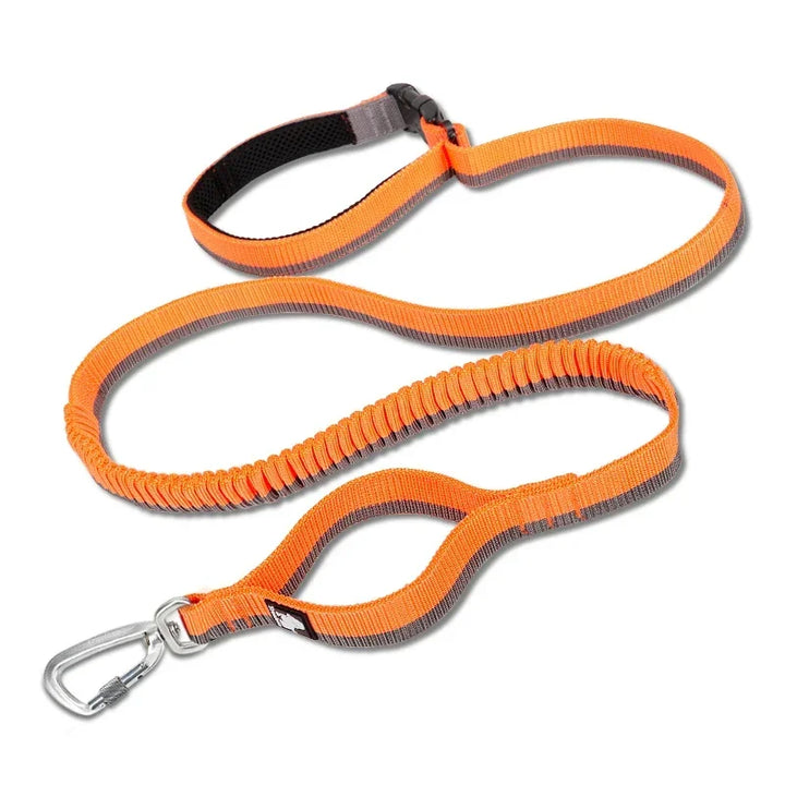 Truelove Pet Running Bungee Leash Hands Free