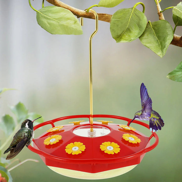 Hummingbird Feeder with 8 Feedings – Hanging Bird Feeder