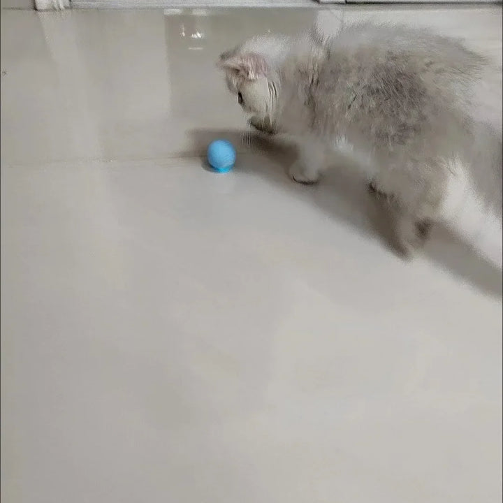 Smart Interactive Cat Ball - Electronic Rolling Toy