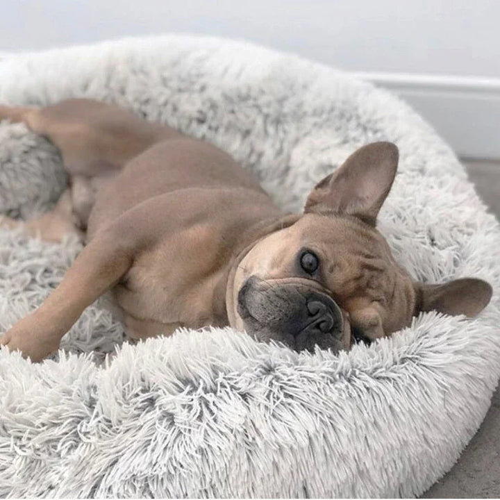 🐾 Round Plush Dog and Cat Bed – Donut Mat