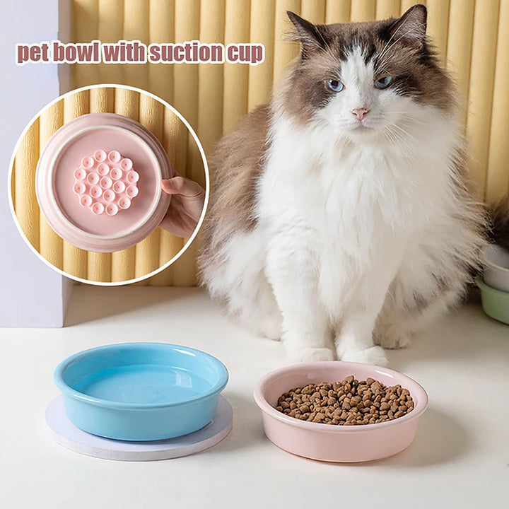 Slow Feeder Bowl for Dogs and Cats – Pet Feeder