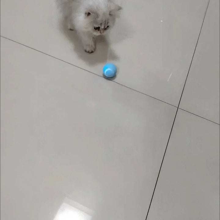 Smart Interactive Cat Ball - Electronic Rolling Toy