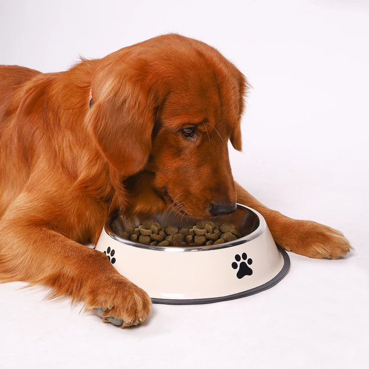 Stainless Steel Pet Bowl – Durable Food Bowl