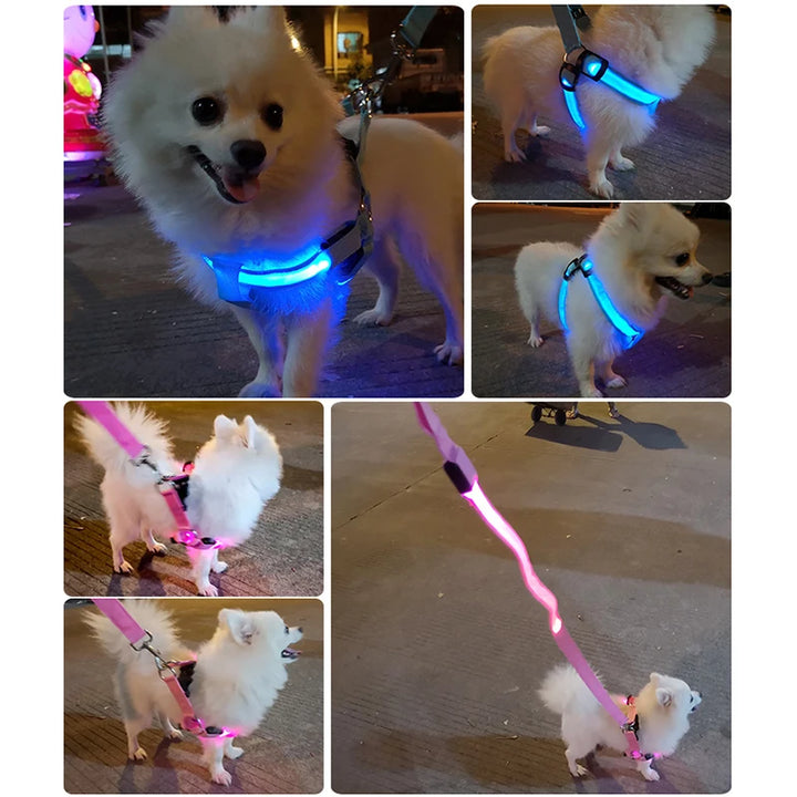 Fashion LED Electronic Pet Harness Nylon Dog Accessories Flashing Light Pet Leash Rope Belt Dog Glowing Vest Pet Supplies