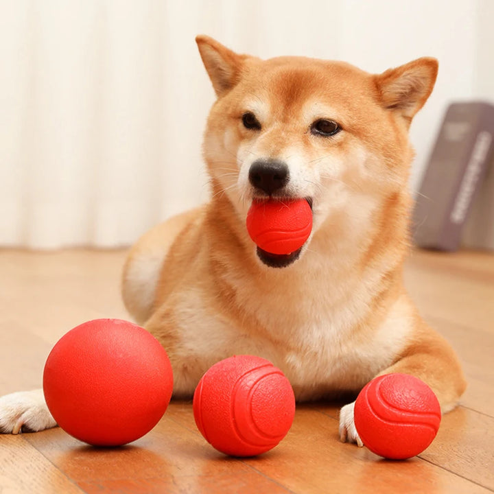 Bite Resistant Bouncy Dog Toy (S-XL)