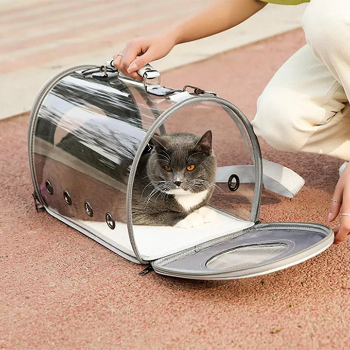 Transparent Pet Backpack – Breathable & Carrier