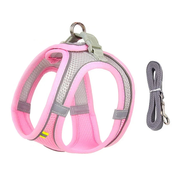 Stylish adjustable harness kit for small dogs