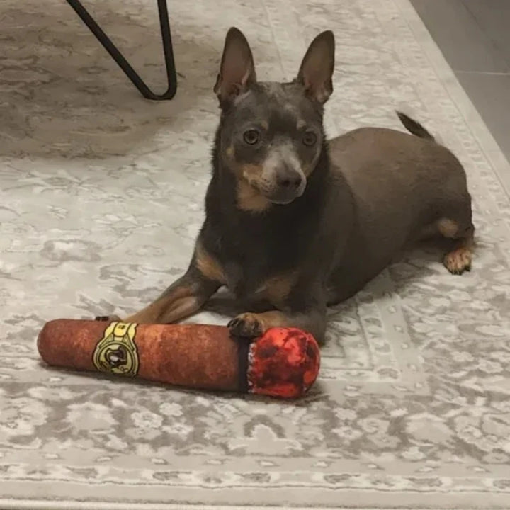 Indestructible Cigar Toy That Makes Noise –