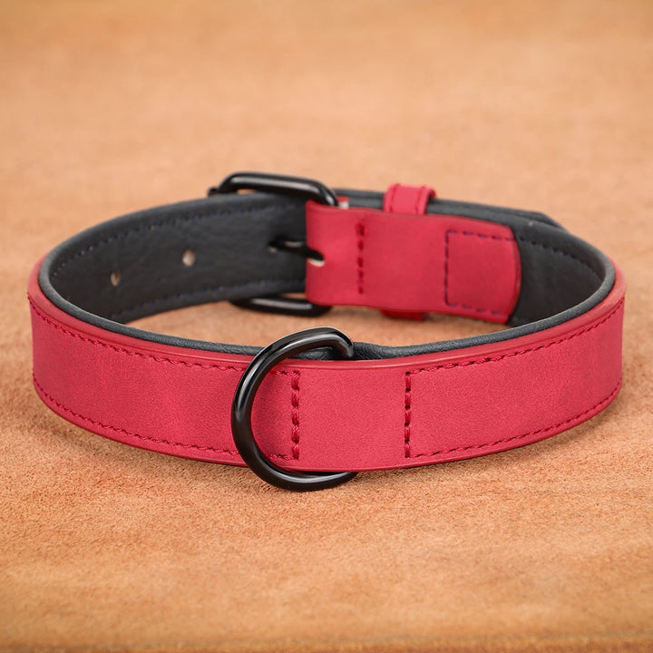 Large dog collar, soft padded collar, durable