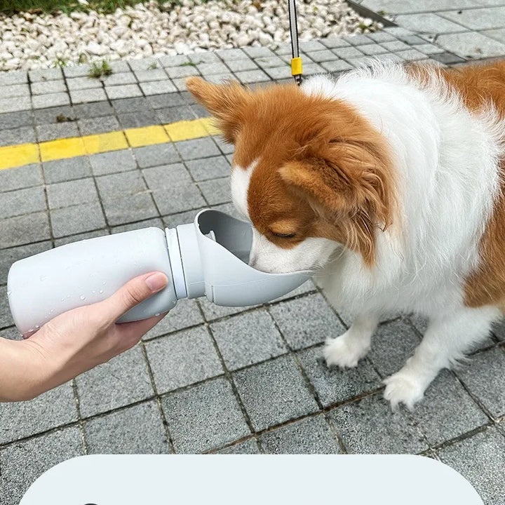 Foldable Silicone Dog Water Bottle Outdoor