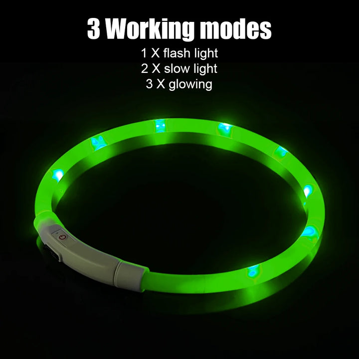 Night Luminous LED USB Charging Collar Dog Collar