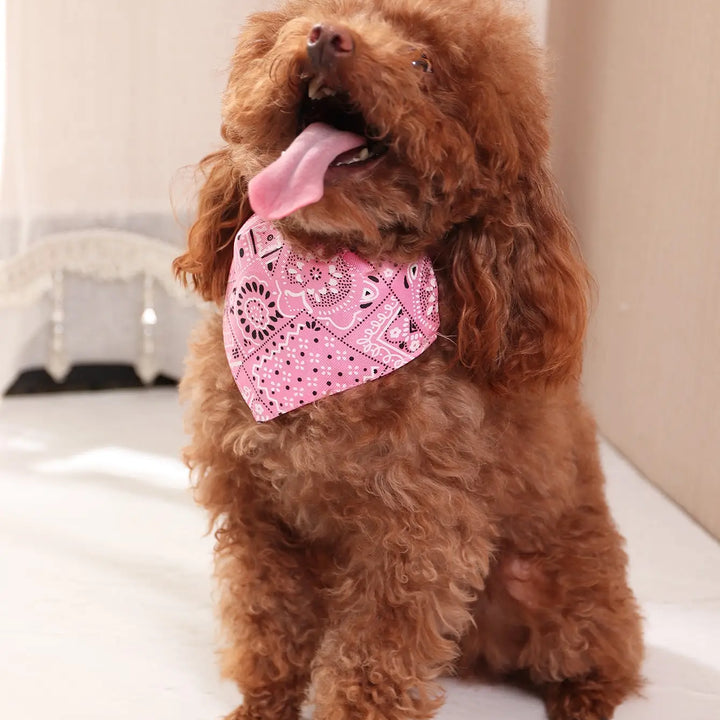 Pink Pet Bandana – Adjustable Triangle Scarf