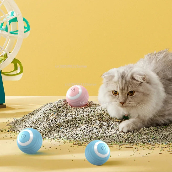 Smart Interactive Ball for Cats – Electronic Magic Ball