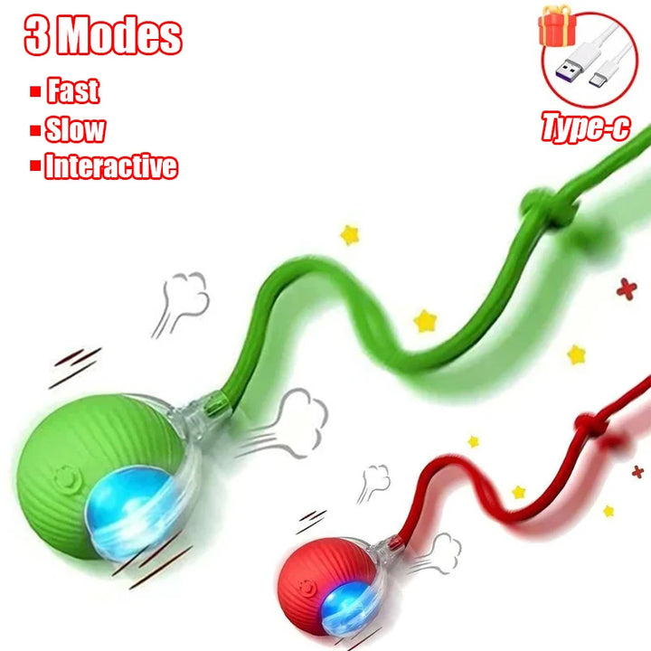 Interactive Cat Toy Ball with Fake Tail - Electric Toy