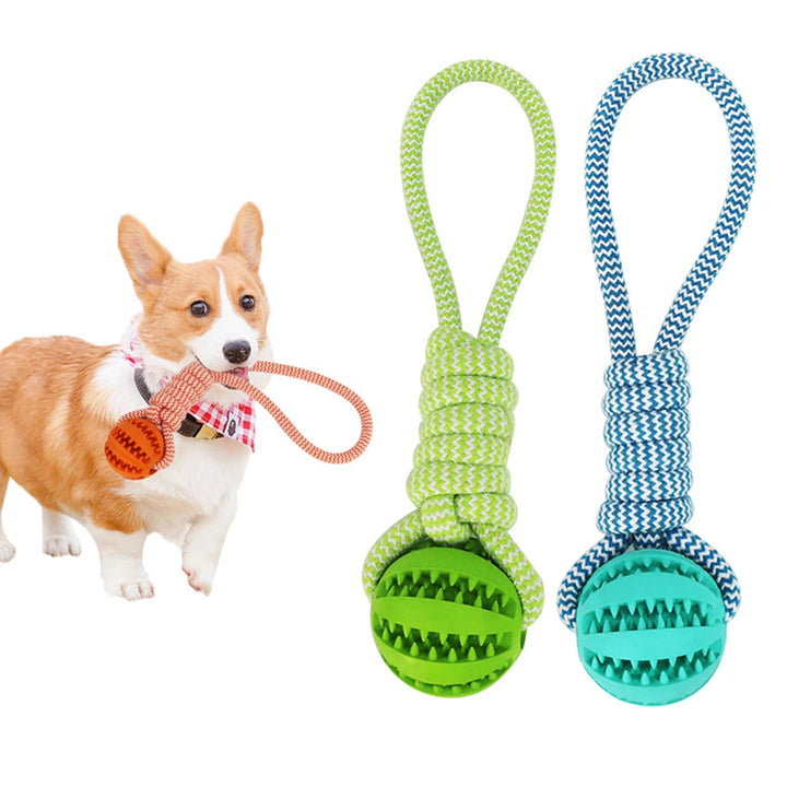 Pet Tooth Cleaning Chewing IQ Treat Ball – Dispenser