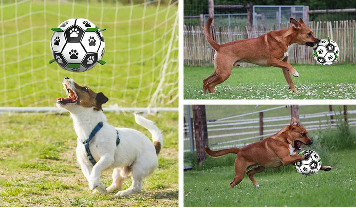 Interactive Soccer Ball for Dogs – High Jumping Fun for Pets