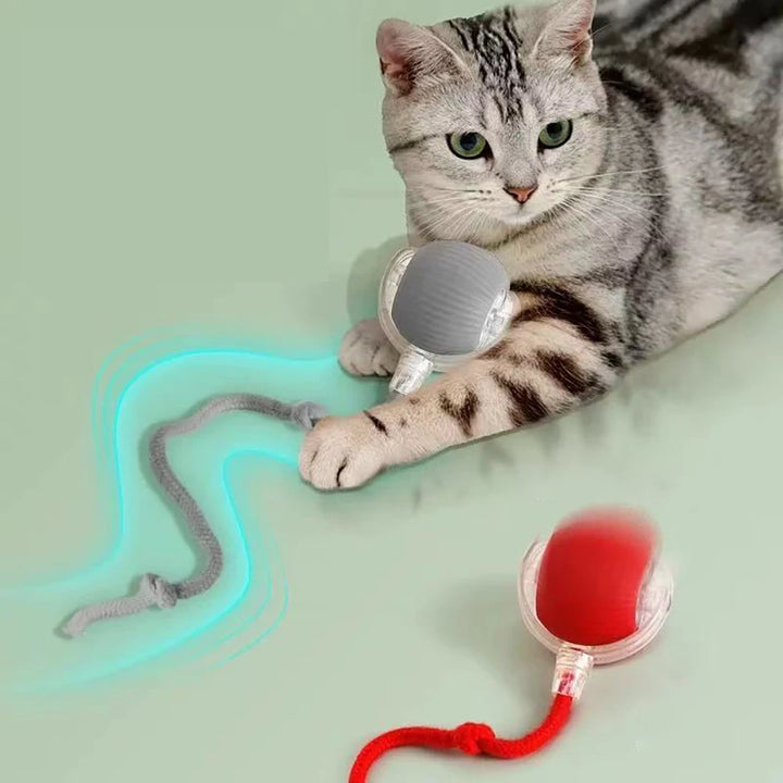 Interactive Cat Toy Ball – Automatic Rolling Magic Ball