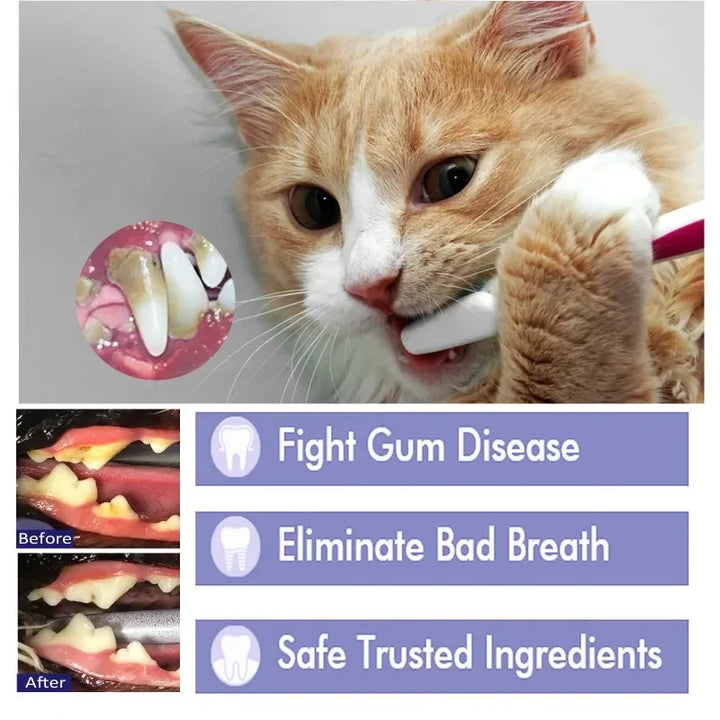 Toothpaste for dogs and cats – tooth cleaning paste