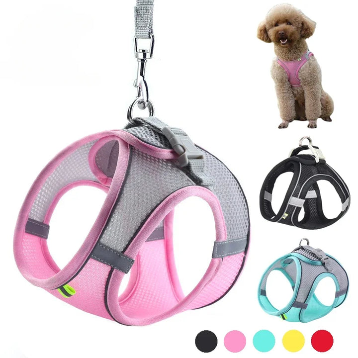 Stylish adjustable harness kit for small dogs