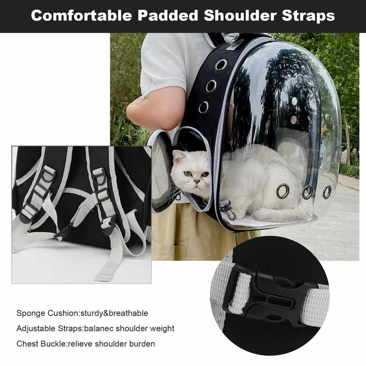 Portable Clear Cat Backpack – Stylish Travel Carrier