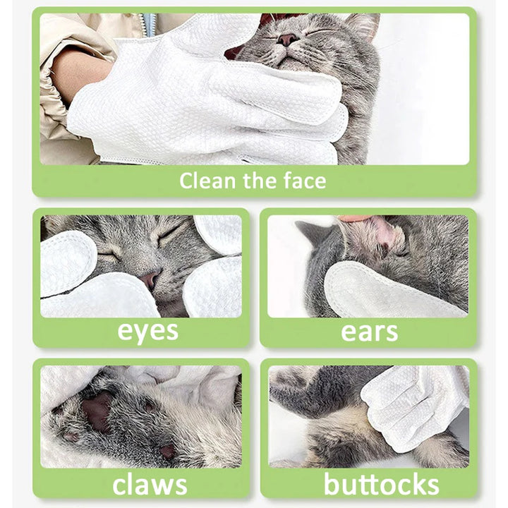 No-Wash Pet Grooming Gloves and Dry Wipes