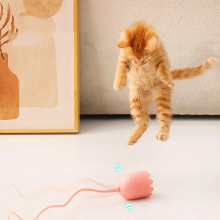 USB Smart Electric Cat Toy Ball - Auto Rotating