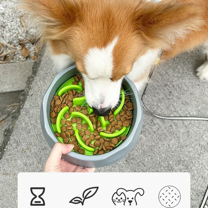 Multifunctional Non-slip Slow Food Bowl for Pets