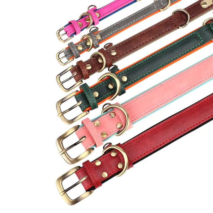 Personalized Leather Dog Leash Set with ID Tag