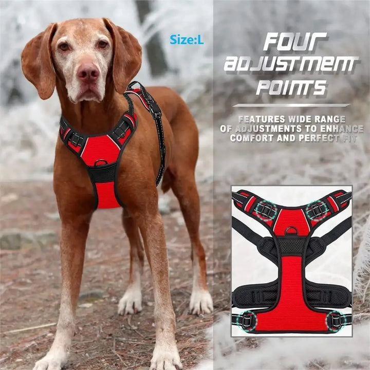 Dog Collars Harnesses Large Vests Pet Leash