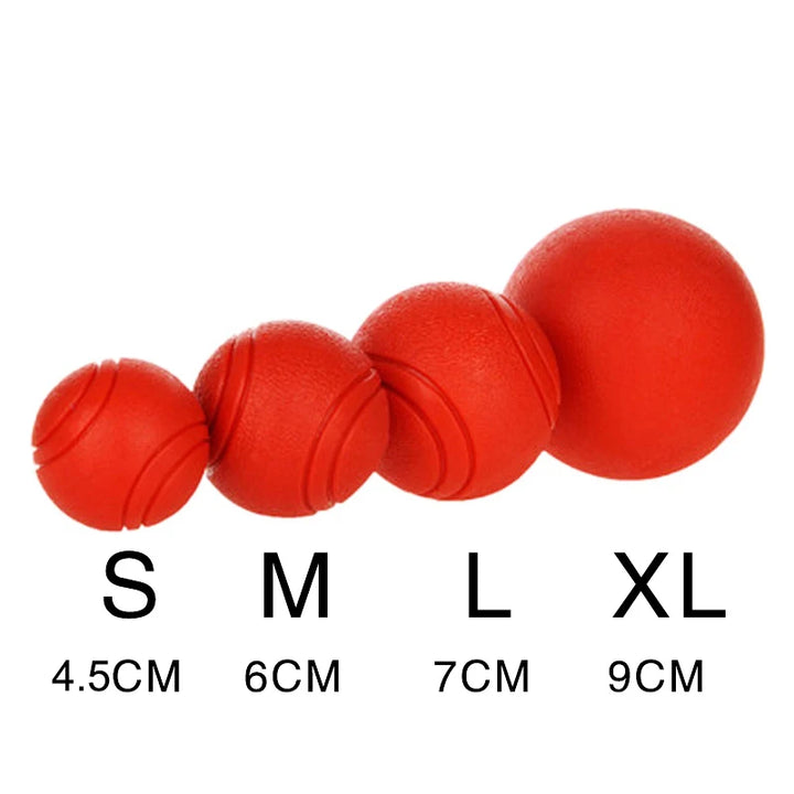 Bite Resistant Bouncy Dog Toy (S-XL)